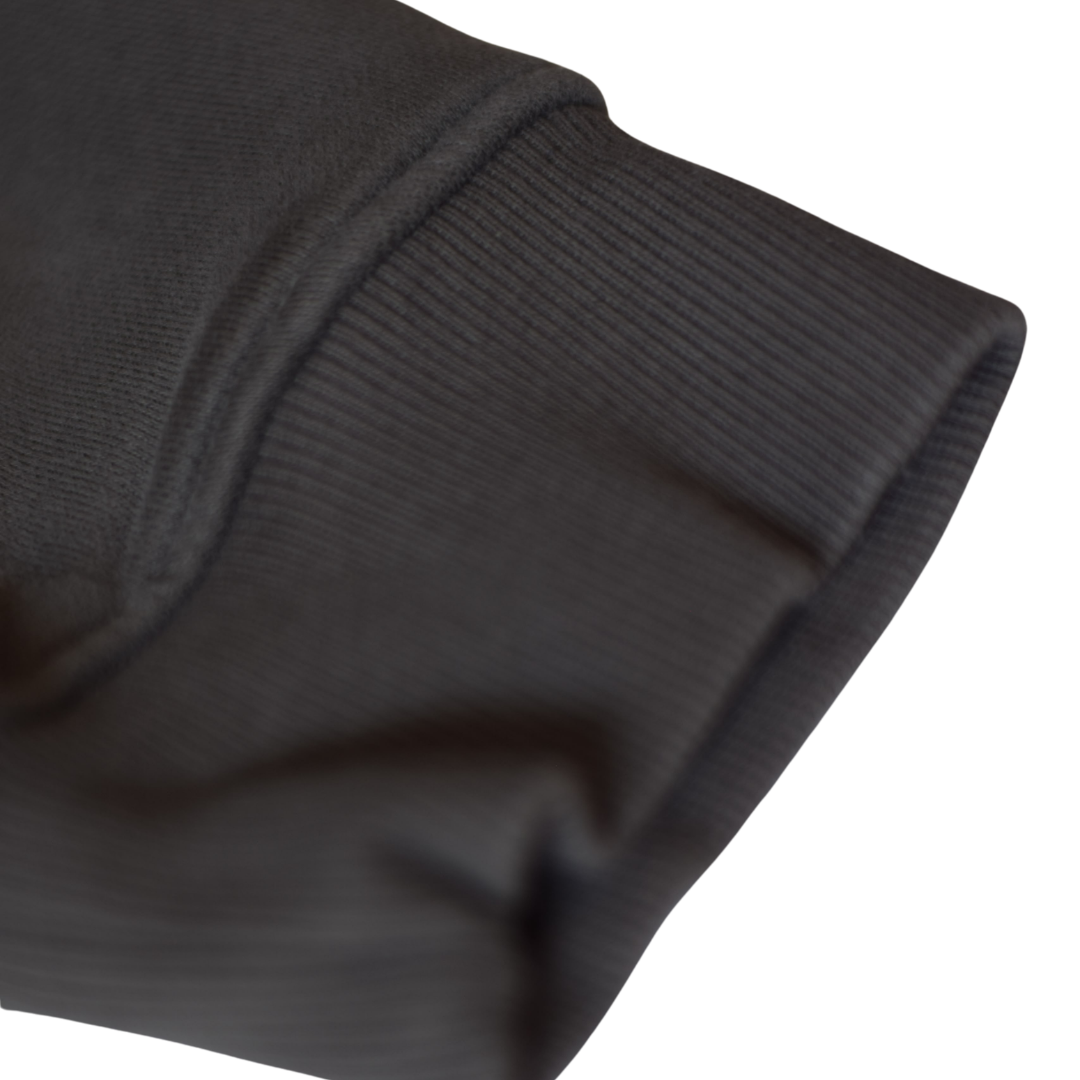 Christus Est Rex Premium Hoodie